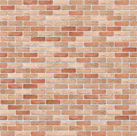 Gevelsteen gevoegd rood-beige genuanceerd