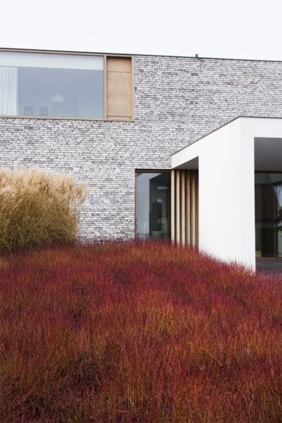 Warme gevelmaterialen grijze gevelsteen, witte gevelbepleistering en houten buitenschrijnwerk
