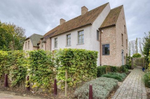 Accent in gevel door kaleien