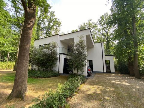 Livingwood Testimonial Anckaert 5