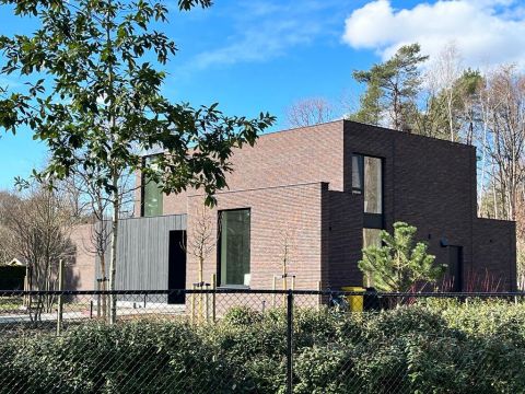 Photo 2023 03 12 10 58 21 3