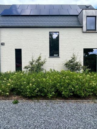 Verschingel De Backer Alsemberg Waterpoel 64 45