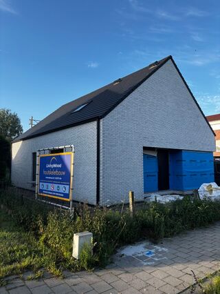 Geel Dornik 14 8196