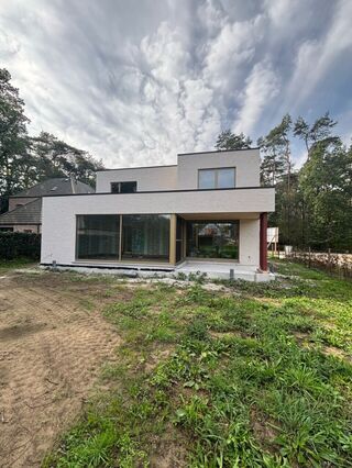 Zoersel Liefkenshoek29 Kijkwoning Foto 6
