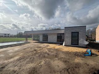 Drengel 65 Zoersel 2